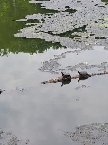 Haddon Lake Park