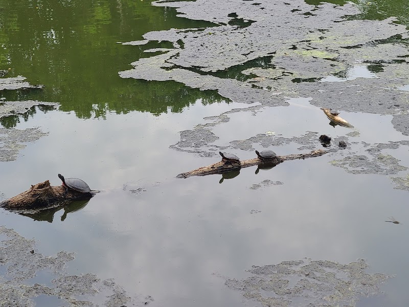 Haddon Lake Park - Mt Ephraim, NJ