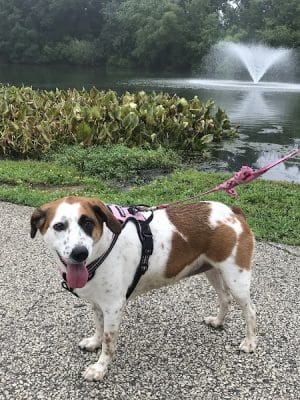Haddon Lake Park