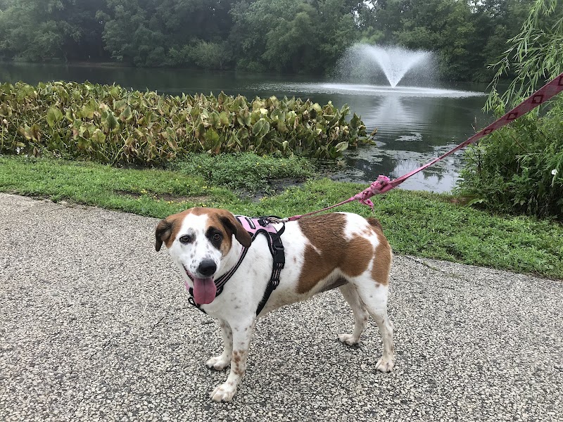Haddon Lake Park - Mt Ephraim, NJ