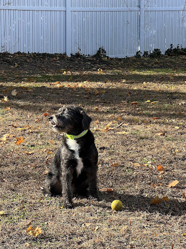 Dog Park of Laurel Green Apartments