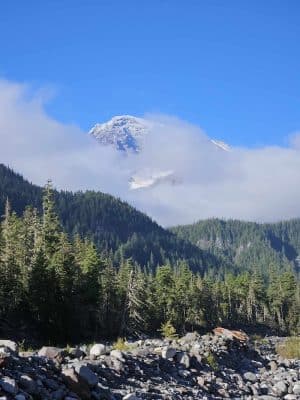 Mount Rainier Park - Mt Rainier, MD