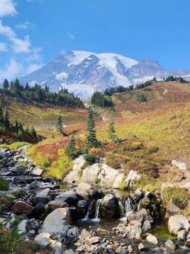 Mount Rainier Park - Mt Rainier, MD