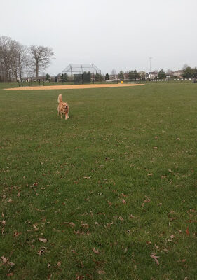 Ella Harris Recreation Park
