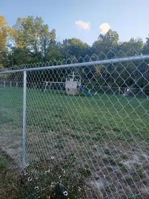 ARF Bark Park