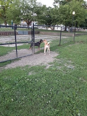 Emerson Dog Park