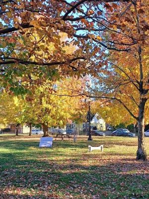 Emerson Dog Park