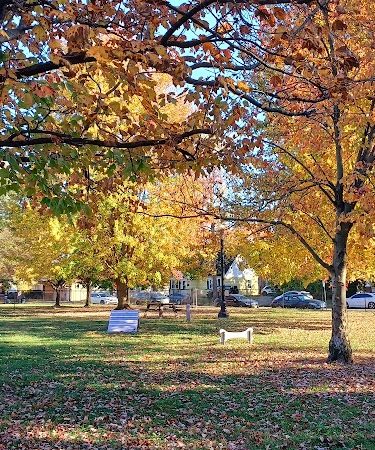 Emerson Dog Park