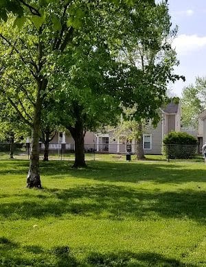 Emerson Dog Park