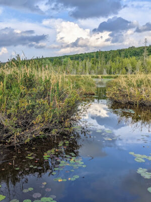 Sand Point Marsh Trail