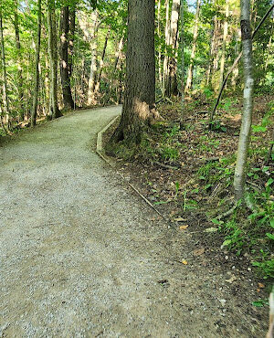Wagner Falls Scenic Site