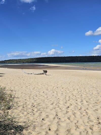 Sand Point Marsh Trail - Munising,