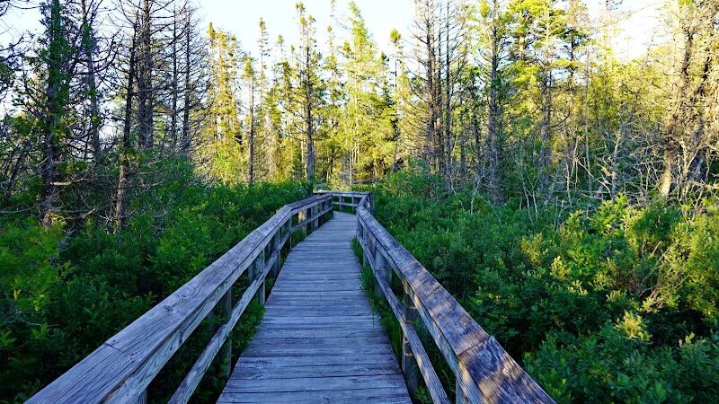 Sand Point Marsh Trail - Munising,