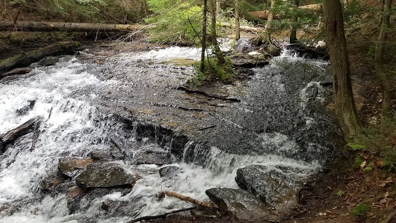Wagner Falls Scenic Site - Munising,