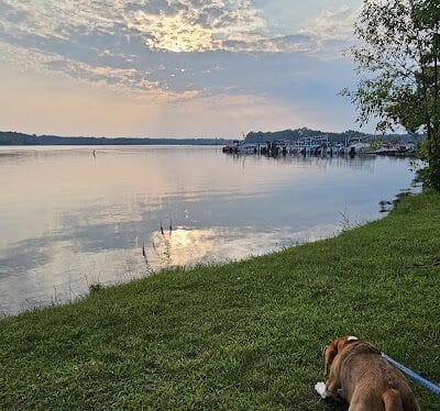 Dog Beach - Munith, MI