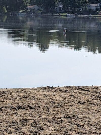 Dog Beach - Munith, MI