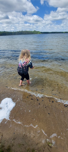 Dog Beach