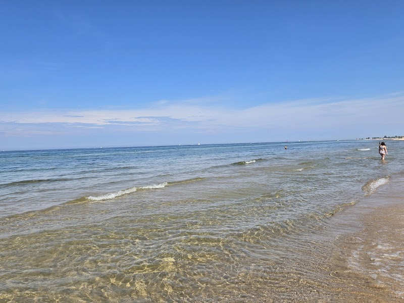 Kruse Park Dog Beach - Muskegon,