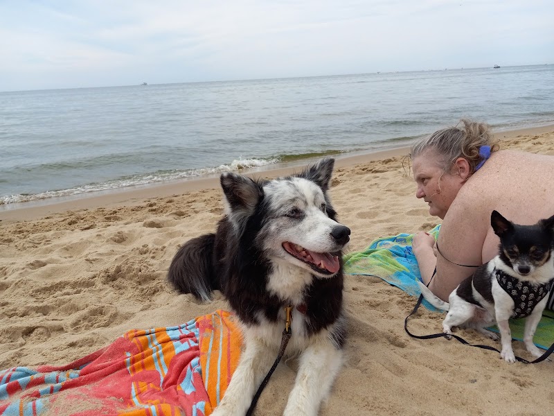 Kruse Park Dog Beach - Muskegon,