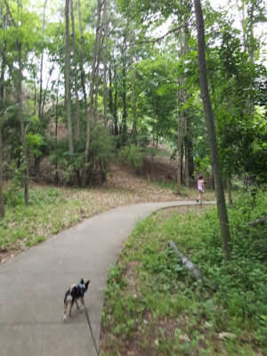 Kruse Park