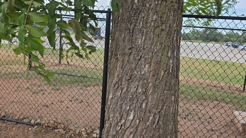 Mustang Dog Park - Mustang, OK