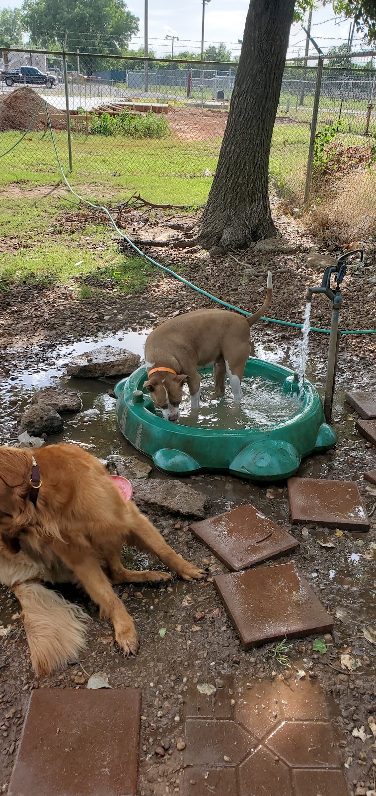 Mustang Dog Park - Mustang, OK