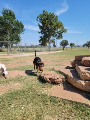 Mustang Dog Park - Mustang, OK