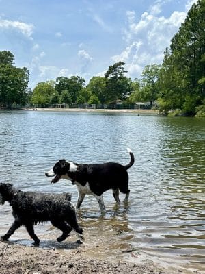 Barc Parc South