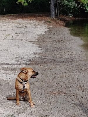 Barc Parc South