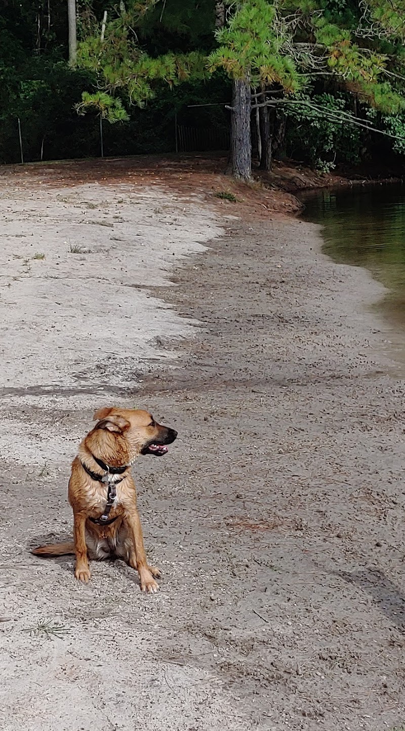 Barc Parc South - Myrtle Beach, SC