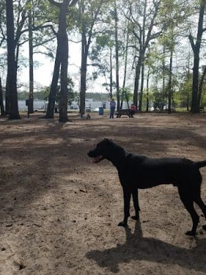 Barc Parc South