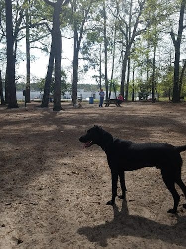 Barc Parc South