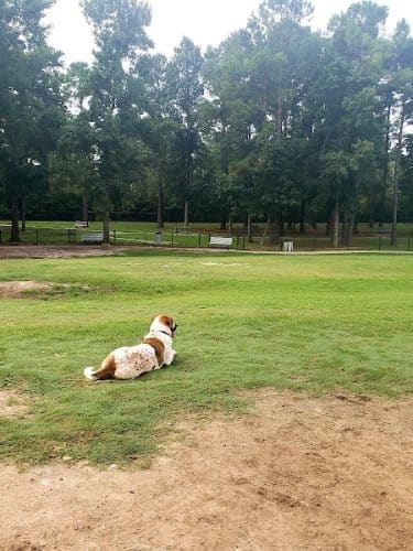 Myrtle Beach Barc Parc North