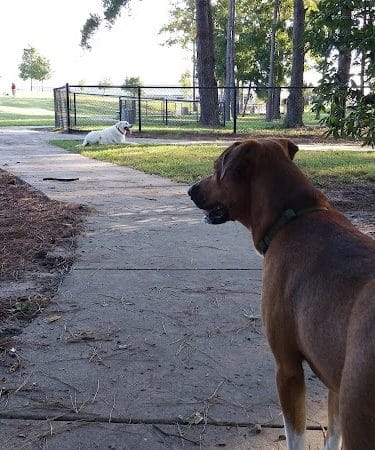 Myrtle Beach Barc Parc North