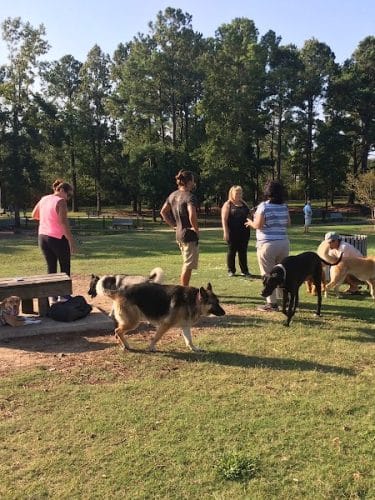 Myrtle Beach Barc Parc North