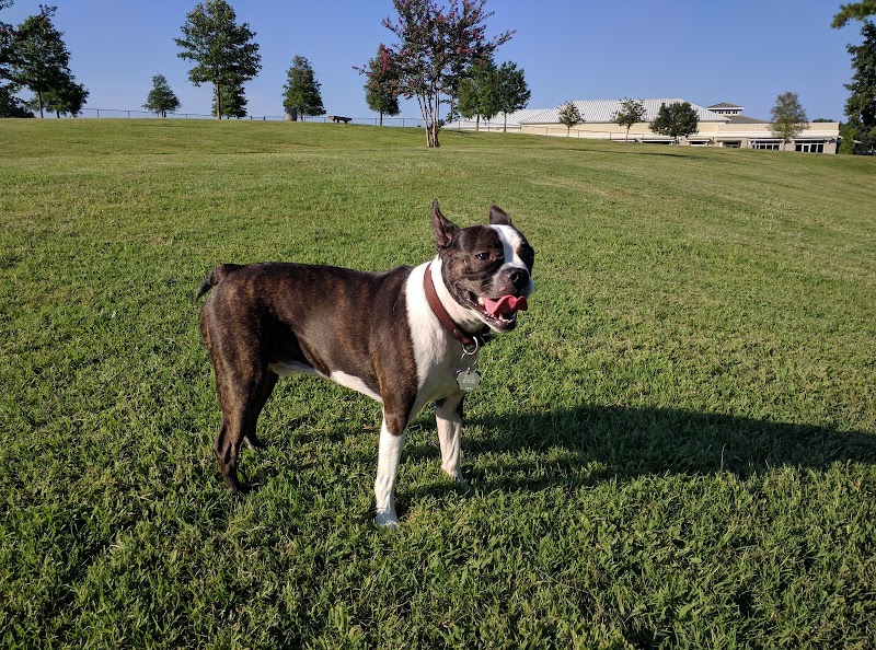 Myrtle Beach Barc Parc North - Myrtle Beach, SC