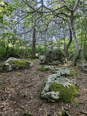 Beebe Pond Park