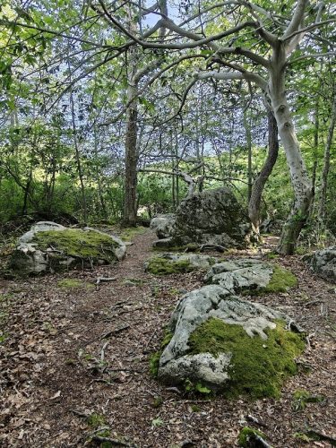 Beebe Pond Park