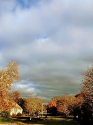 Beebe Pond Park