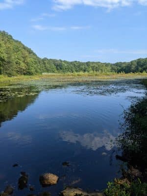 Beebe Pond Park