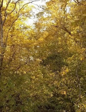 Beebe Pond Park