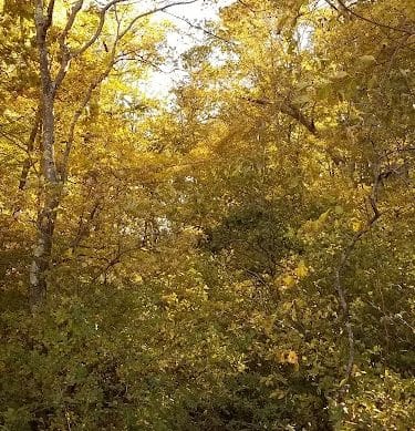 Beebe Pond Park