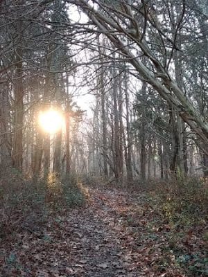 Beebe Pond Park