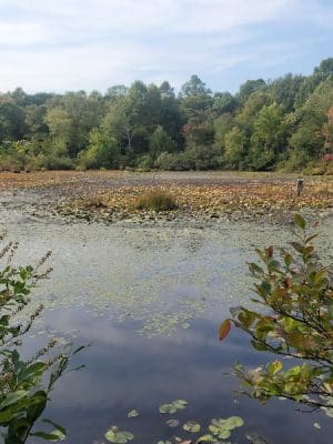 Pequot Woods Park