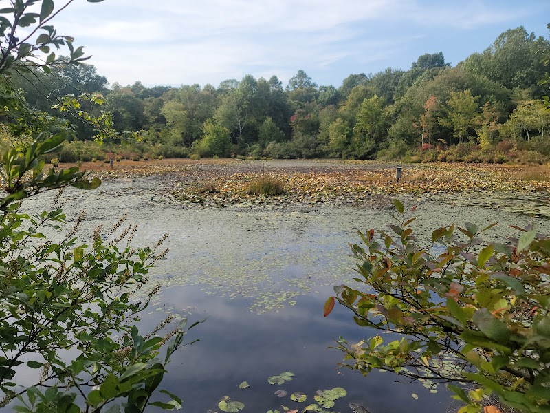 Pequot Woods Park - Mystic, CT