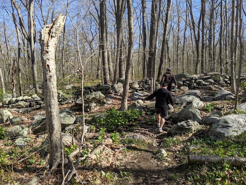 Pequot Woods Park - Mystic, CT