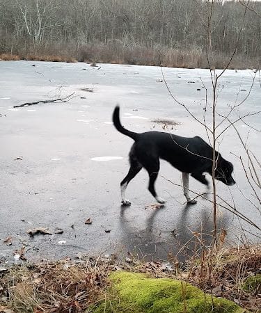 Pequot Woods Park