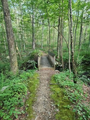 Pequot Woods Park