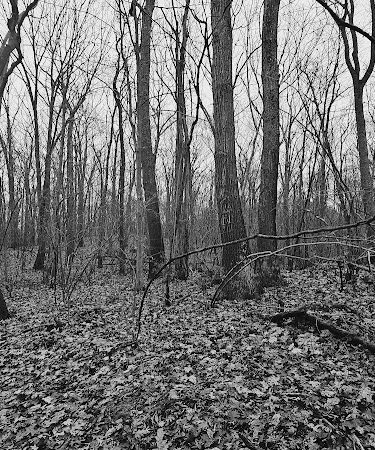 Pequot Woods Park