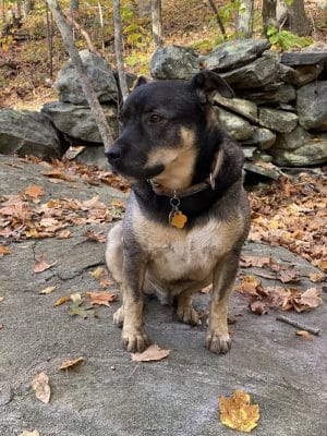 Pequot Woods Park